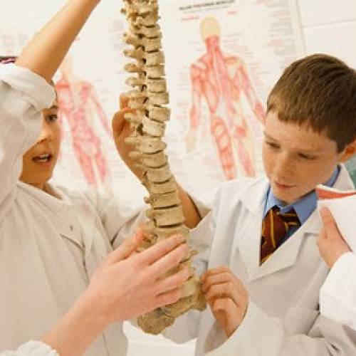 脊椎侧弯的成因及治疗方法