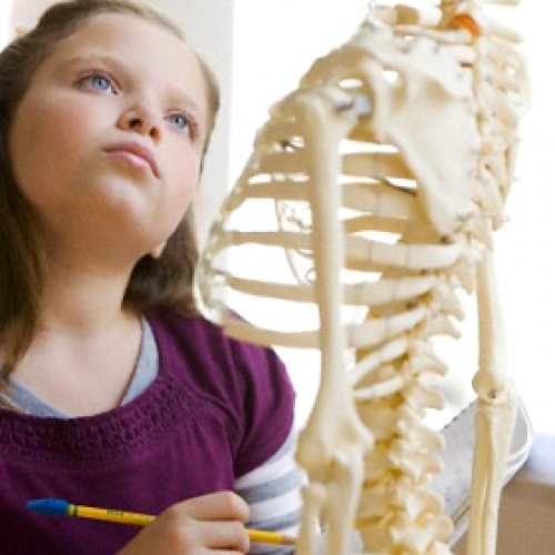 How to check children’s scoliosis ?